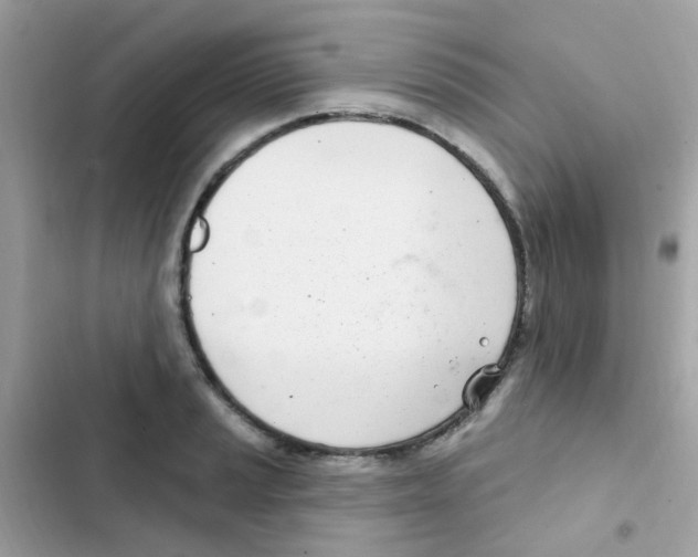 X0000103171037200809192112