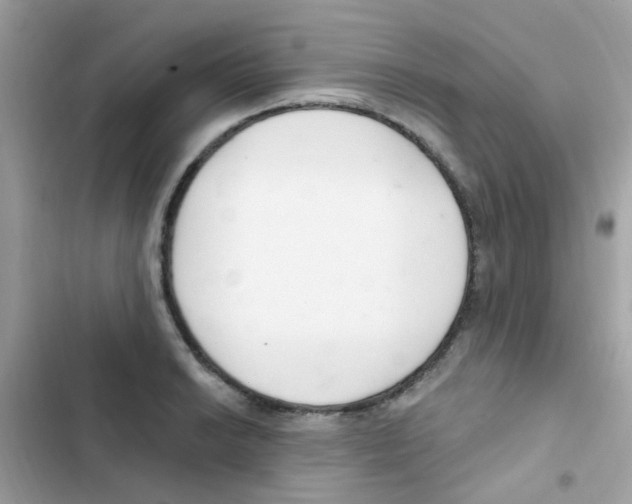 X0000103171038200809192112