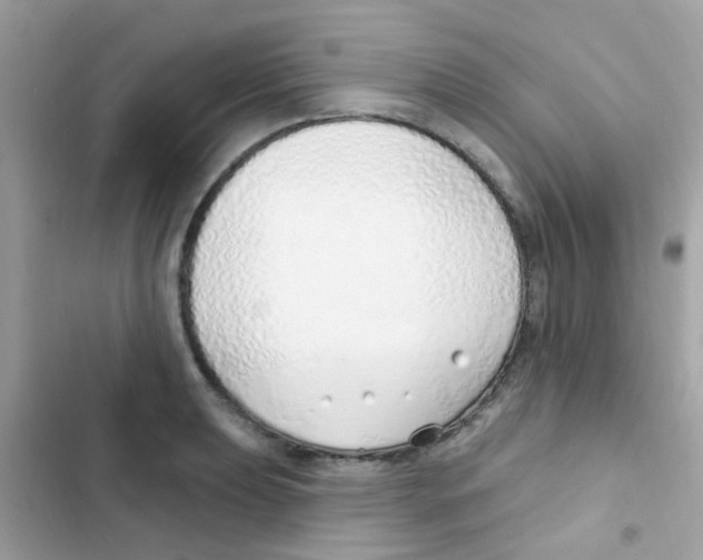 X0000103171039200809192112