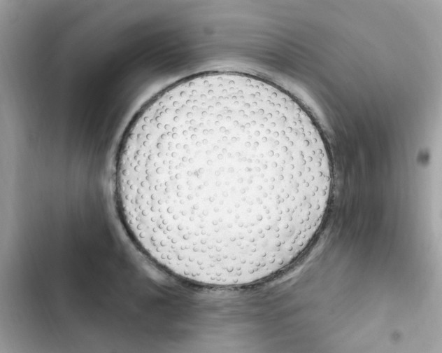 X0000103171040200809192112