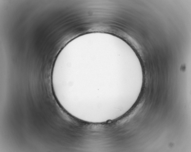 X0000103171041200809192112