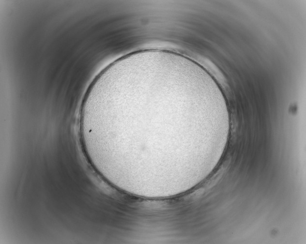 X0000103171044200809192112