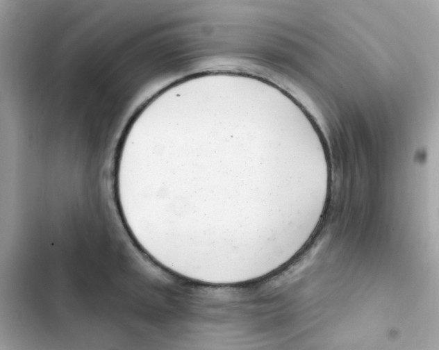 X0000103171045200809192112