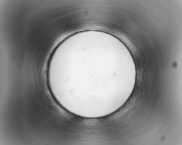 X0000103171046200809192112