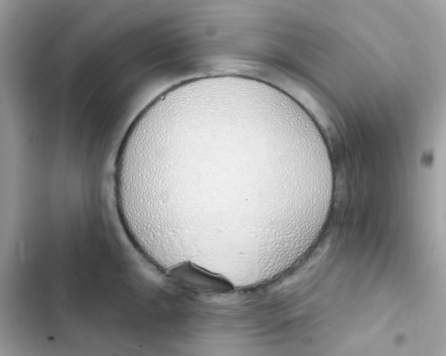 X0000103171047200809192112