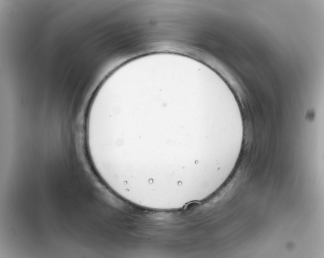 X0000103171048200809192112