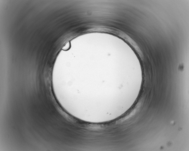 X0000103171049200809192112