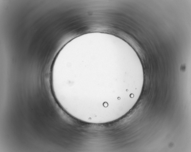 X0000103171050200809192112