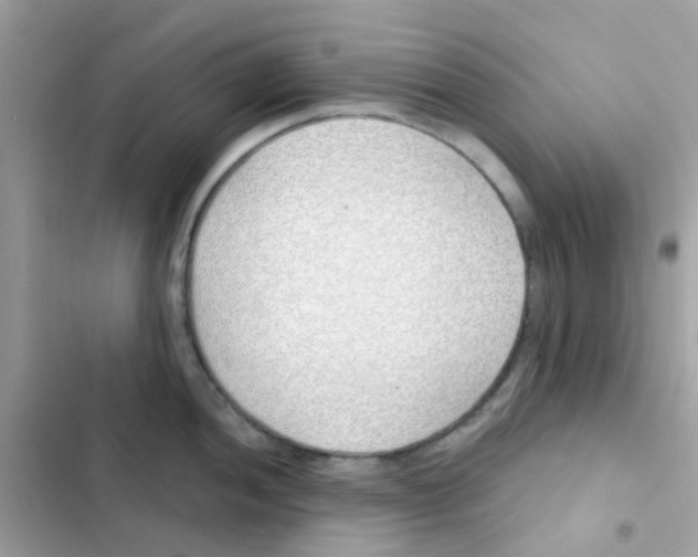 X0000103171052200809192112