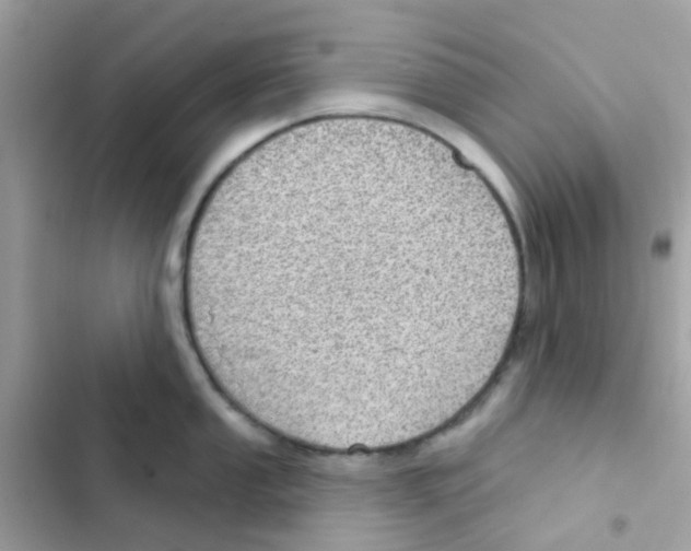 X0000103171053200809192112