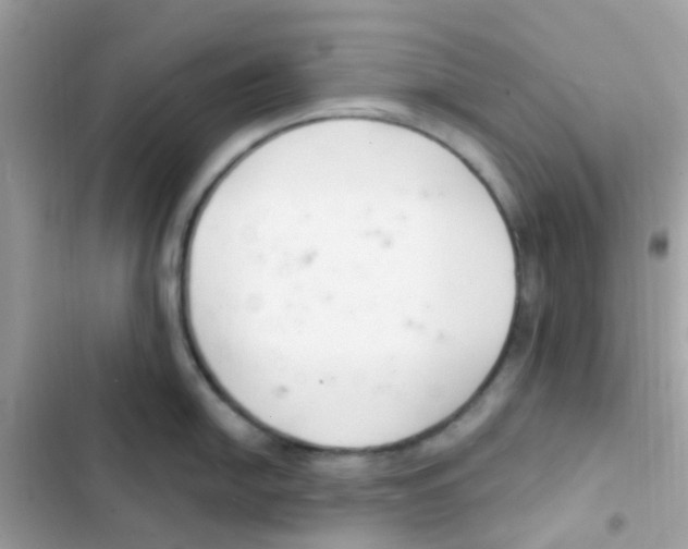 X0000103171054200809192112