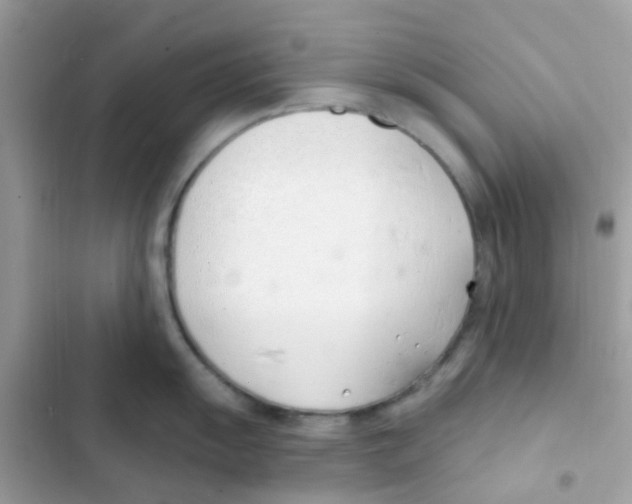 X0000103171055200809192112