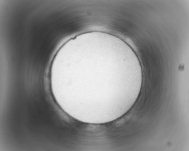 X0000103171056200809192112