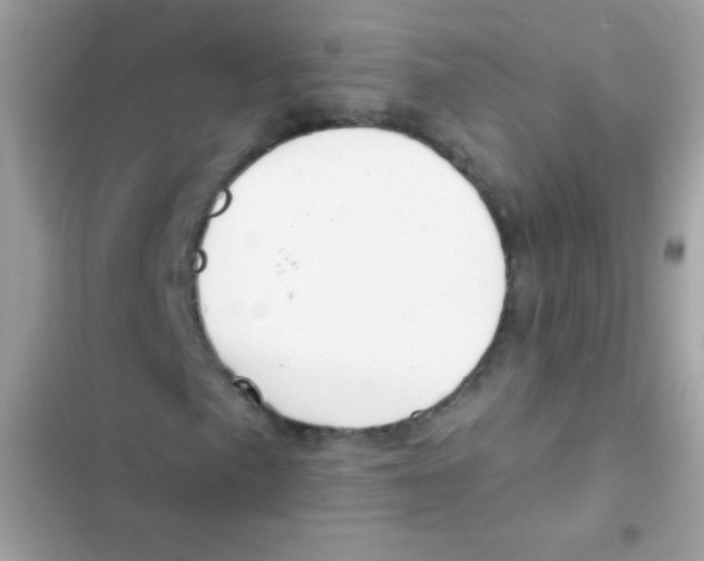 X0000103171057200809192112