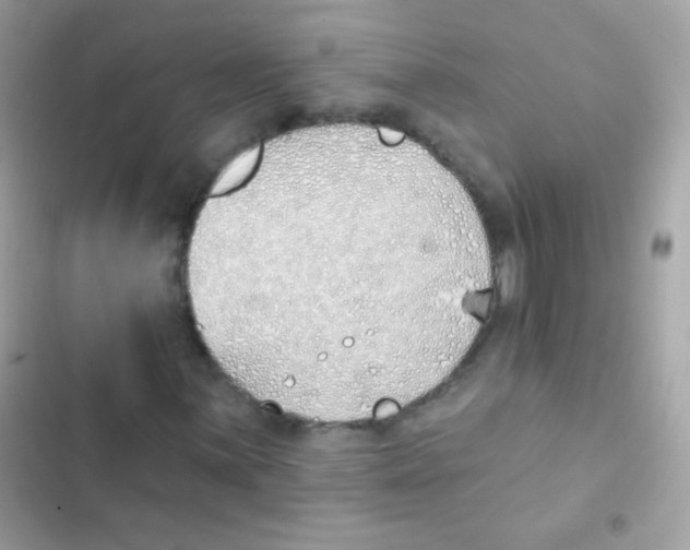 X0000103171059200809192112