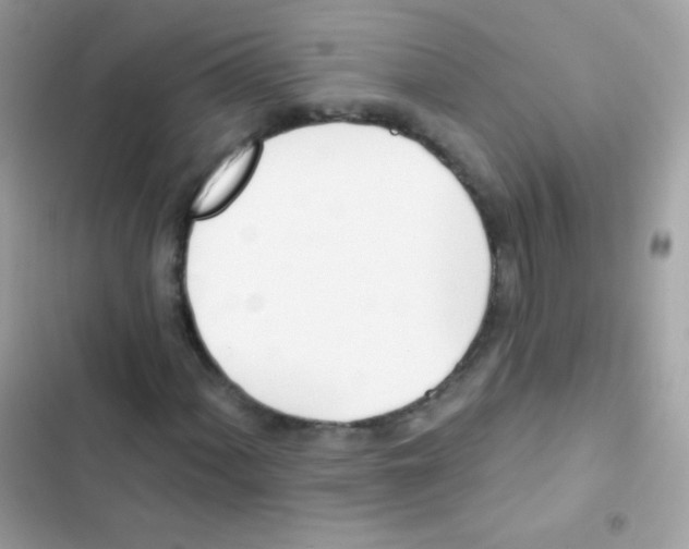 X0000103171060200809192112