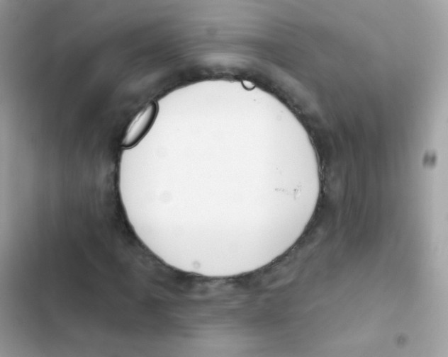 X0000103171061200809192112