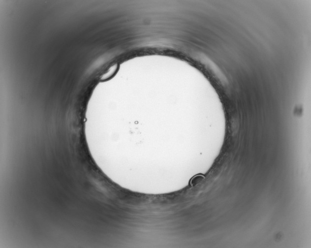 X0000103171064200809192112