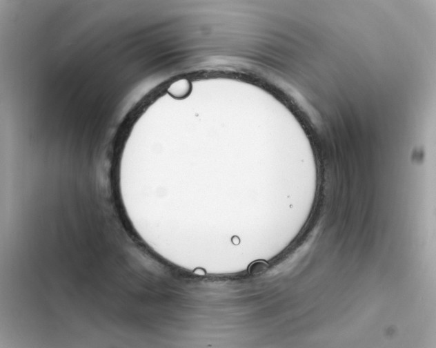 X0000103171066200809192112