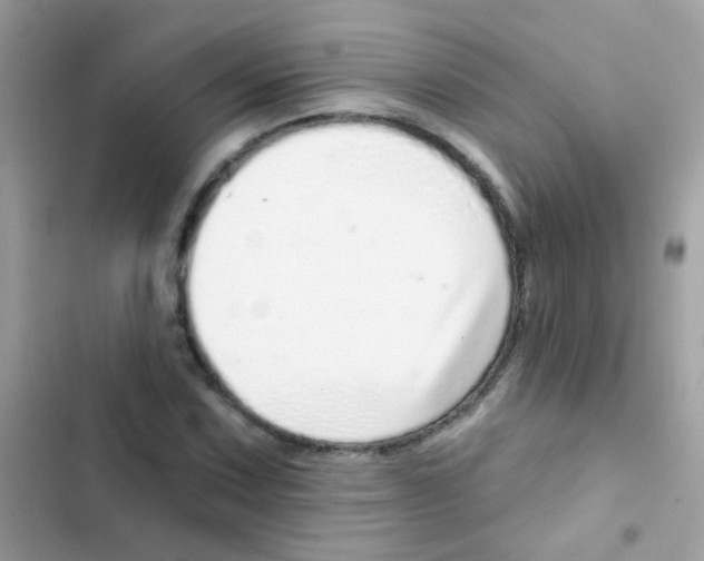 X0000103171067200809192111