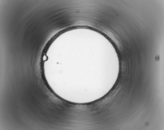 X0000103171068200809192111