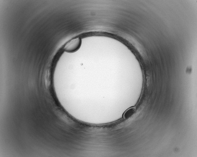 X0000103171069200809192111