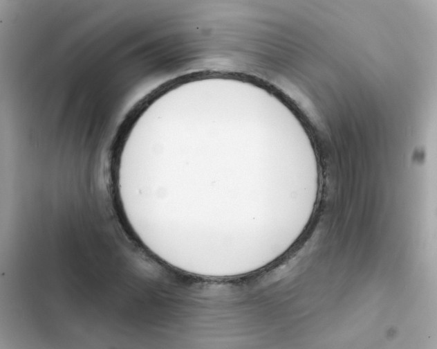 X0000103171070200809192111