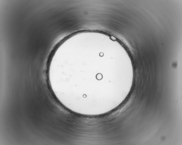 X0000103171071200809192111