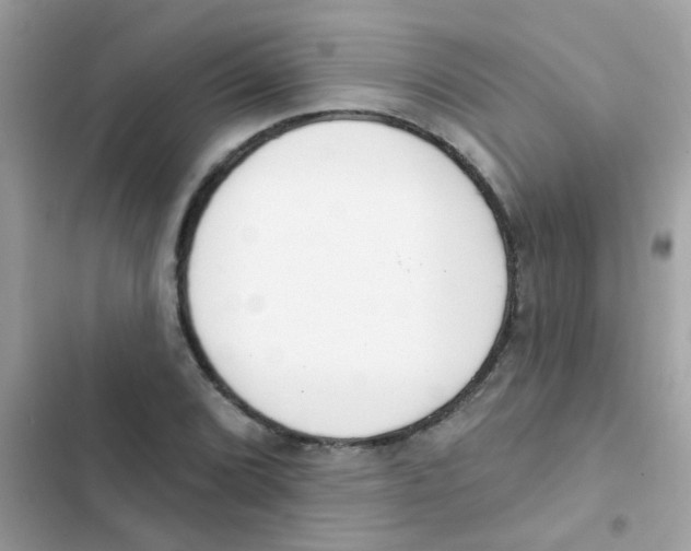 X0000103171072200809192111