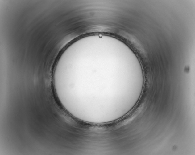 X0000103171073200809192111