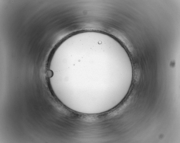 X0000103171074200809192111