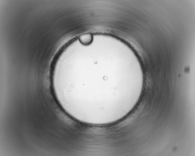 X0000103171075200809192111