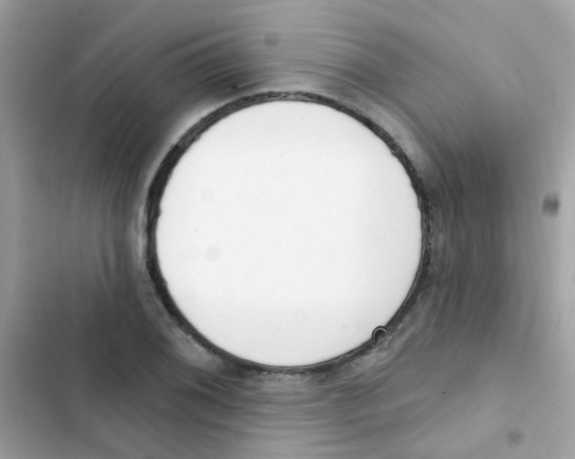 X0000103171076200809192111