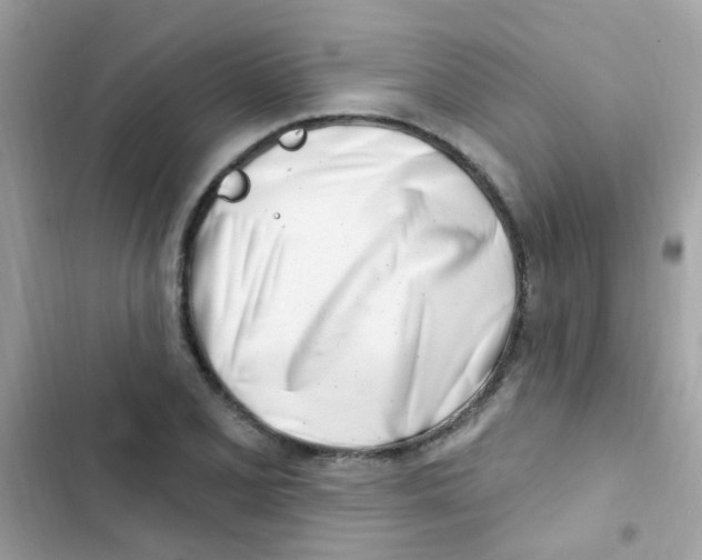 X0000103171077200809192111