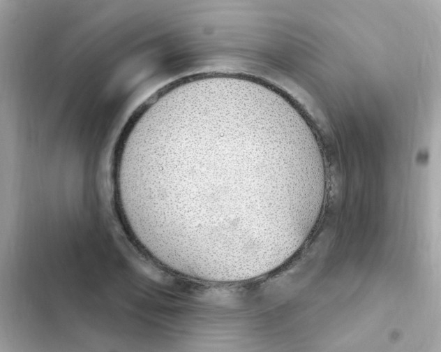 X0000103171078200809192111