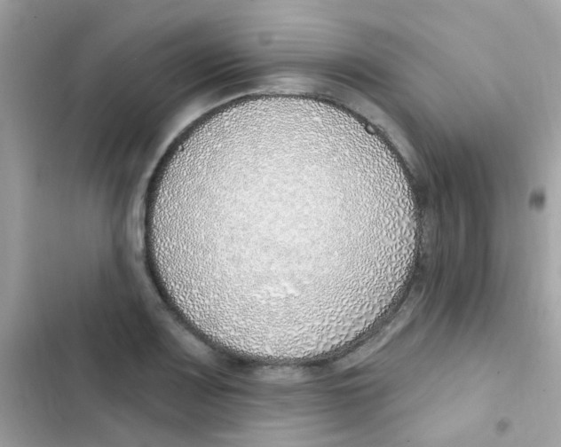 X0000103171083200809192111