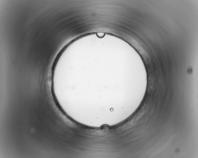 X0000103171084200809192111