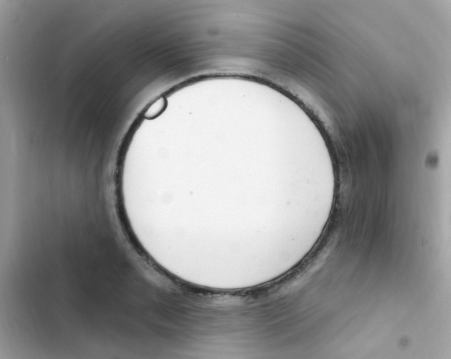 X0000103171085200809192111