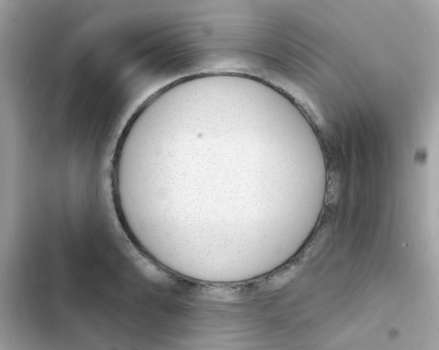 X0000103171086200809192111