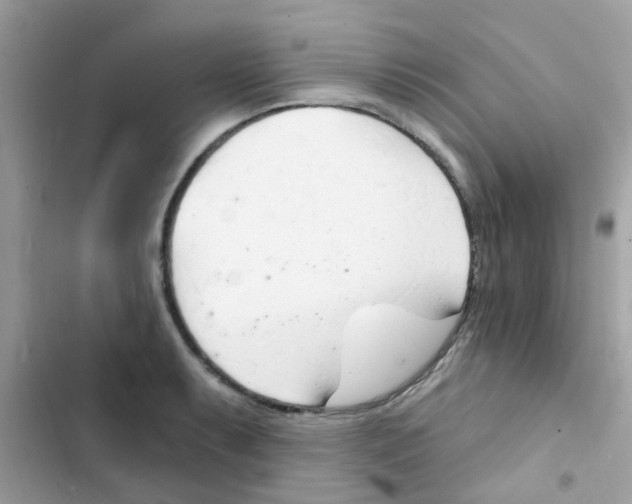 X0000103171087200809192111