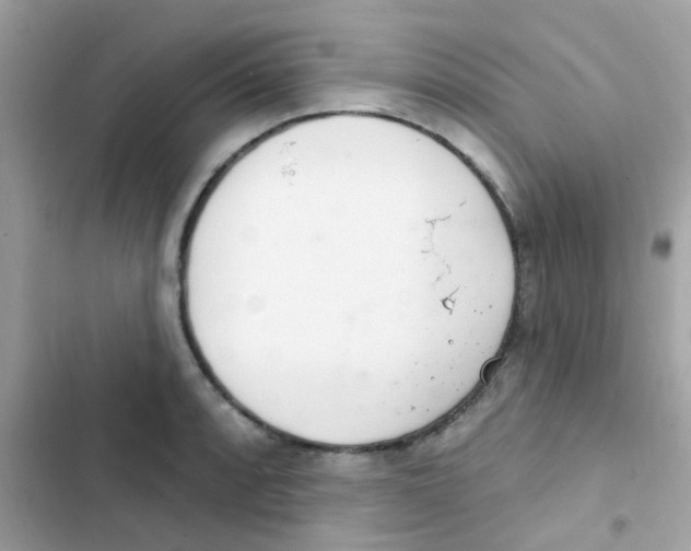 X0000103171088200809192111