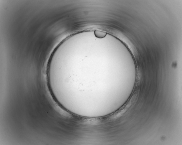 X0000103171090200809192111