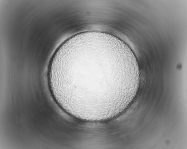 X0000103171091200809192111