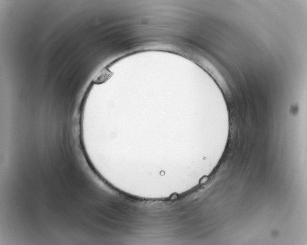 X0000103171092200809192111