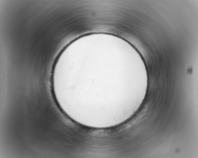 X0000103171093200809192111