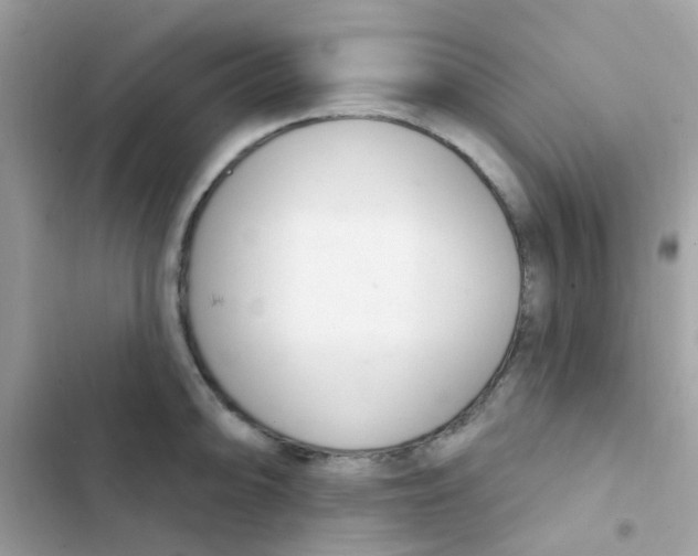 X0000103171094200809192111