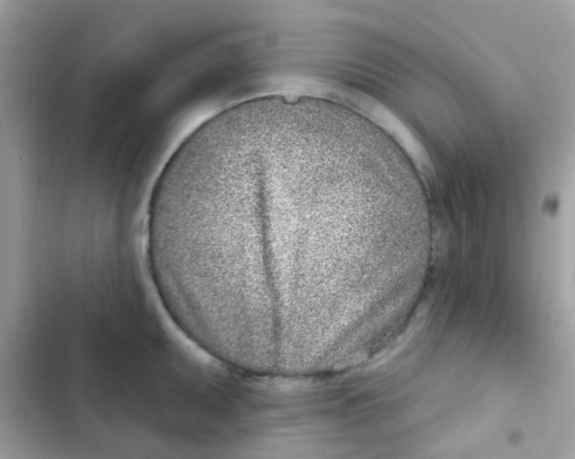 X0000103171095200809192111