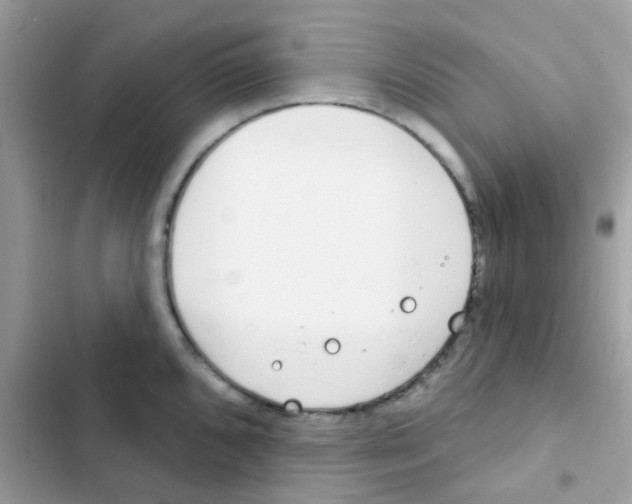 X0000103171096200809192111