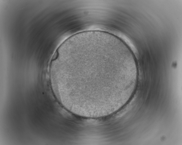 X0000103171097200809192111