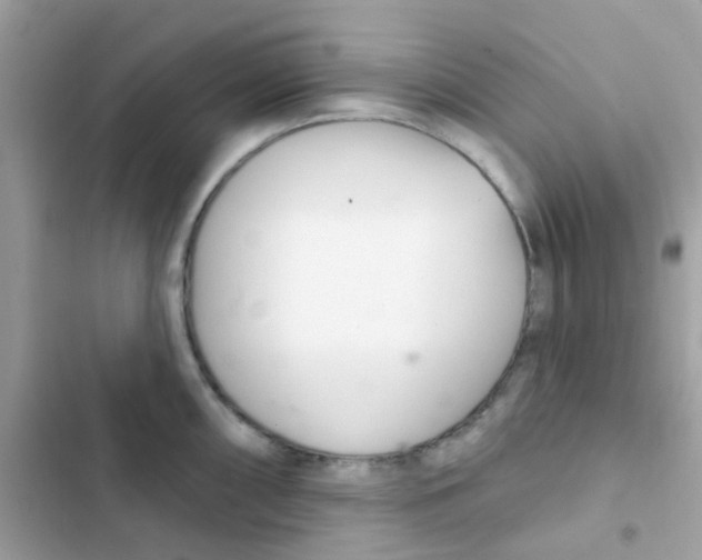 X0000103171098200809192111